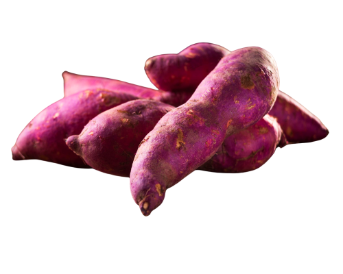 Purple sweet potatoes on a white background with Maya Filipino Store logo.