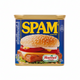 SPAM can with a hamburger graphic on a white background