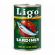Ligo brand sardines can in tomato sauce on a white background